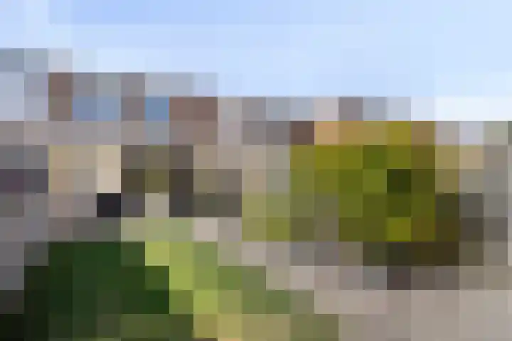 Kruidenlaan 204 Venray thumbnail 22