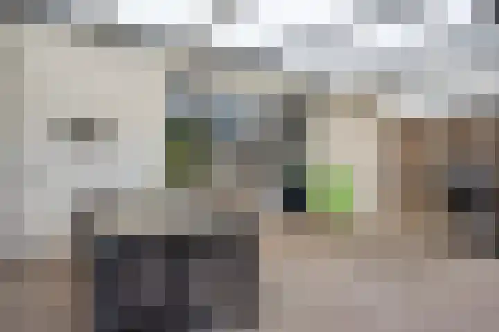 Kruidenlaan 204 Venray thumbnail 23