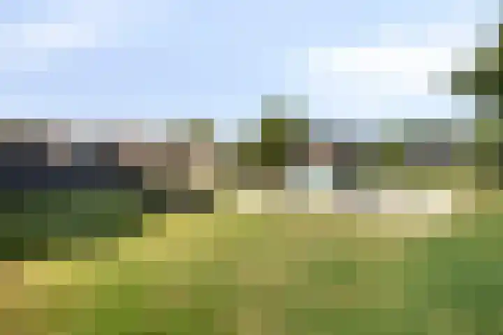 Kruidenlaan 204 Venray thumbnail 27