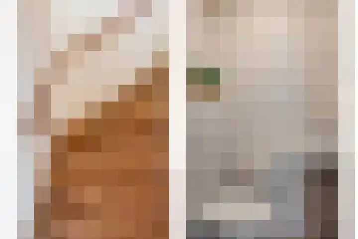 Kruidenlaan 204 Venray thumbnail 4
