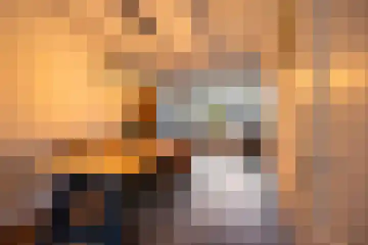 Kruidenlaan 204 Venray thumbnail 6