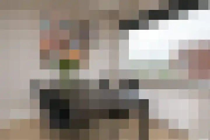 Kruidenlaan 23 Vroomshoop thumbnail 12