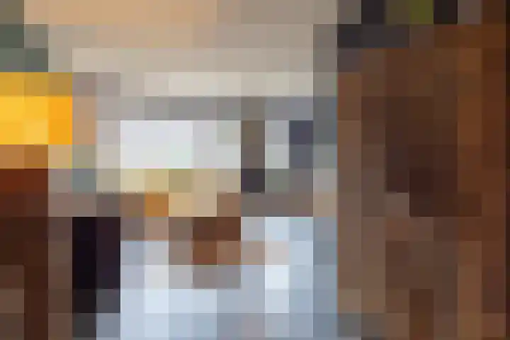 Kruidenlaan 23 Vroomshoop thumbnail 12