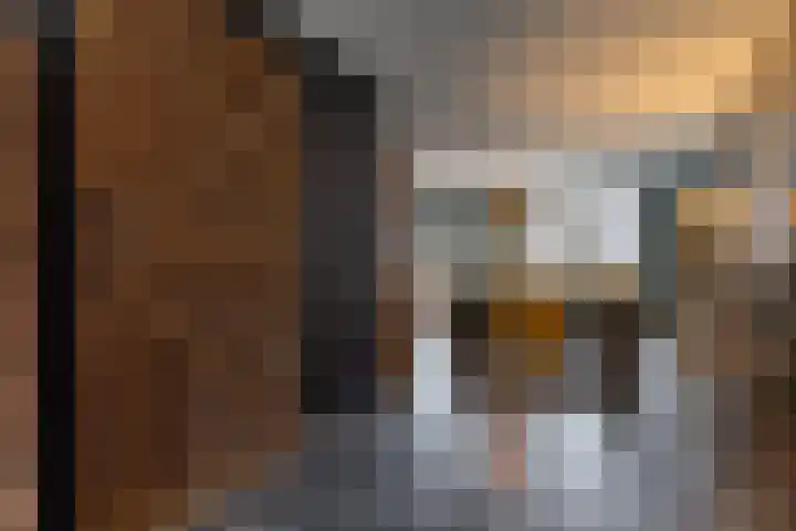 Kruidenlaan 23 Vroomshoop thumbnail 14