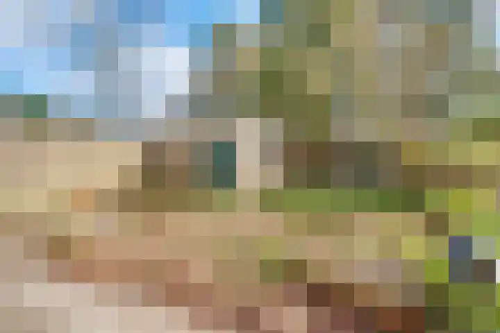 Kruidenlaan 23 Vroomshoop thumbnail 19
