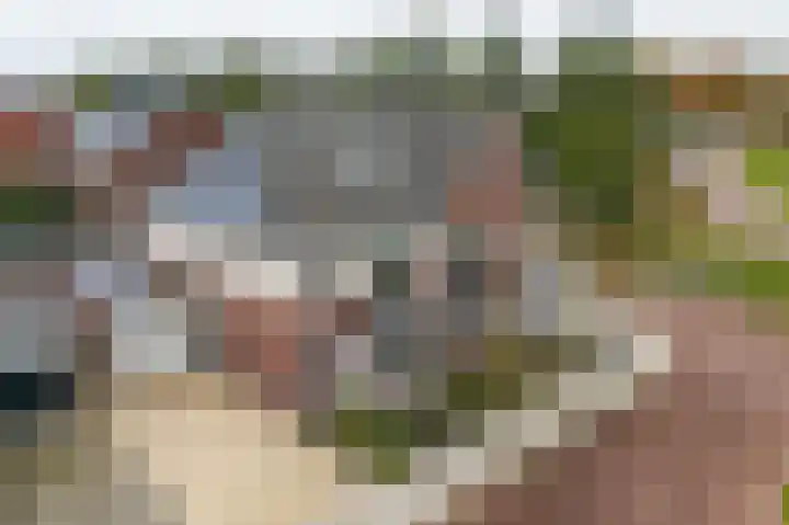 Kruidenlaan 23 Vroomshoop foto 2