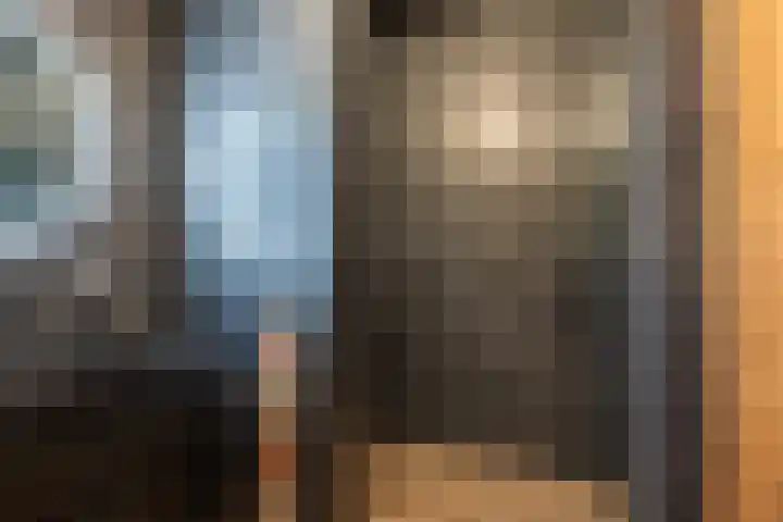 Kruidenlaan 23 Vroomshoop thumbnail 24