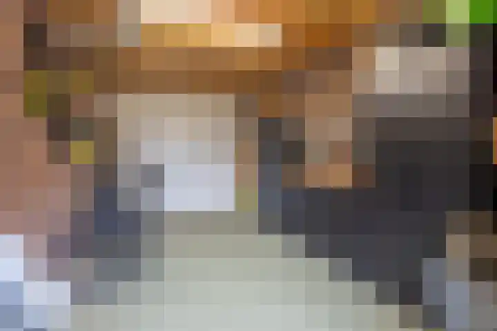 Kruidenlaan 23 Vroomshoop thumbnail 28