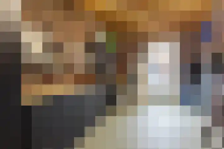 Kruidenlaan 23 Vroomshoop thumbnail 29