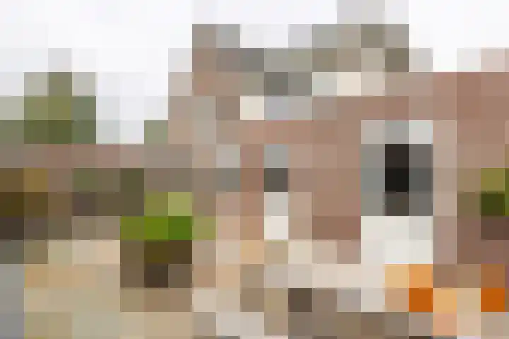 Kruidenlaan 23 Vroomshoop thumbnail 30