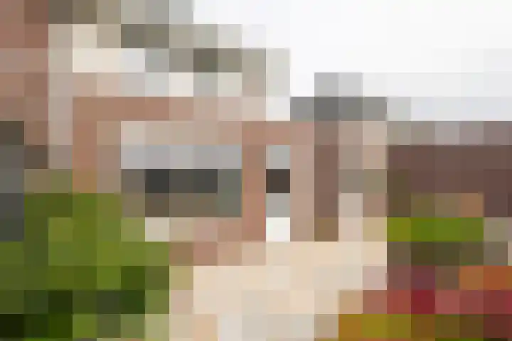 Kruidenlaan 23 Vroomshoop thumbnail 31