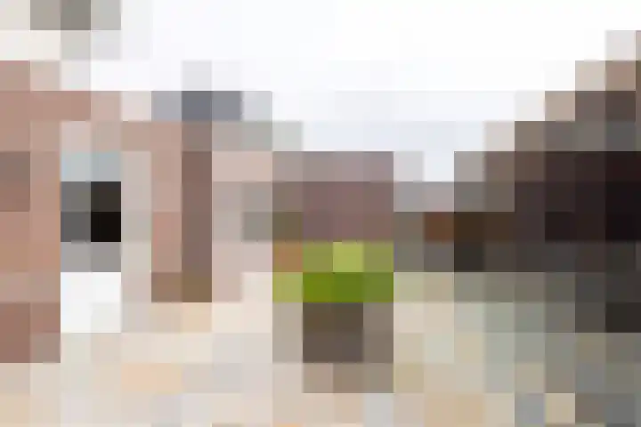 Kruidenlaan 23 Vroomshoop thumbnail 32