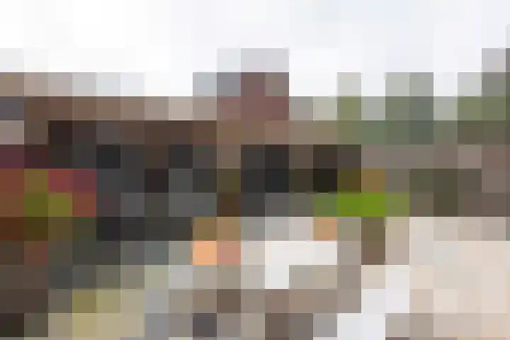 Kruidenlaan 23 Vroomshoop thumbnail 33