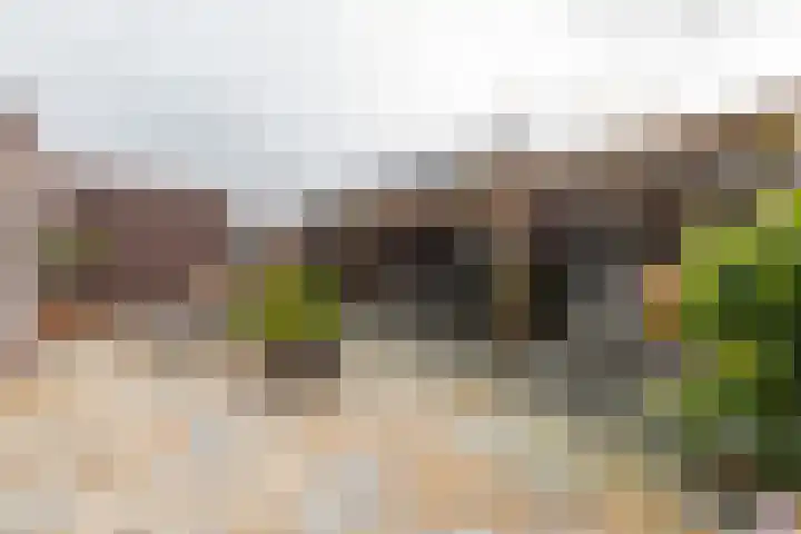 Kruidenlaan 23 Vroomshoop thumbnail 34