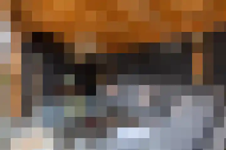 Kruidenlaan 23 Vroomshoop thumbnail 35