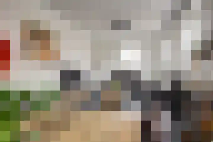 Kruidenlaan 23 Vroomshoop thumbnail 36