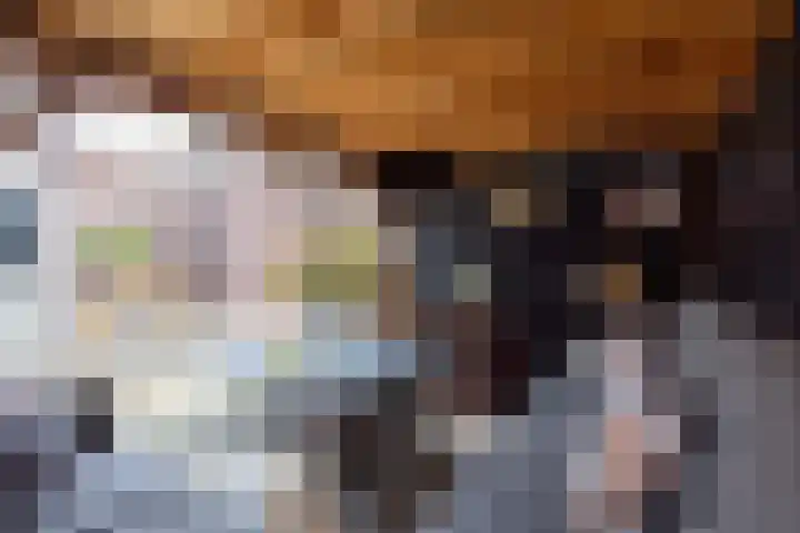Kruidenlaan 23 Vroomshoop thumbnail 36