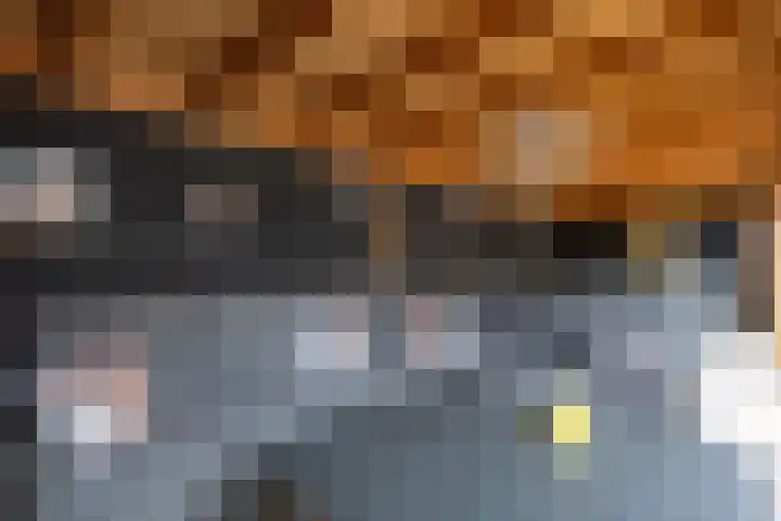 Kruidenlaan 23 Vroomshoop thumbnail 37