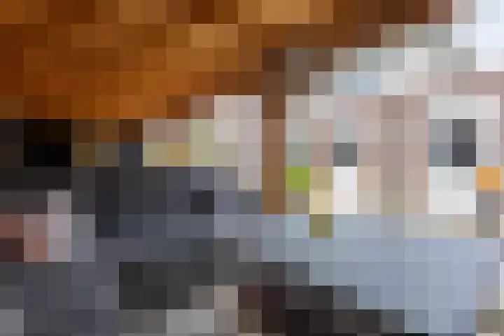 Kruidenlaan 23 Vroomshoop thumbnail 38