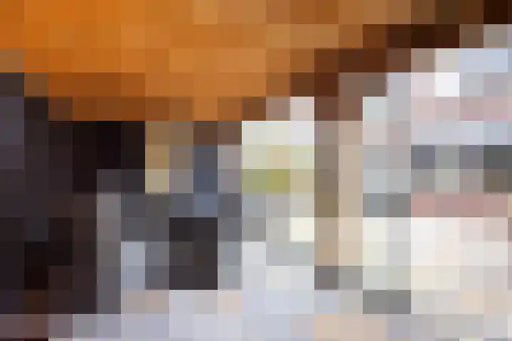 Kruidenlaan 23 Vroomshoop thumbnail 39