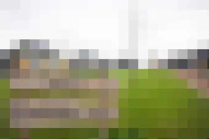 Kruidenlaan 23 Vroomshoop thumbnail 4