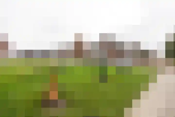 Kruidenlaan 23 Vroomshoop thumbnail 40