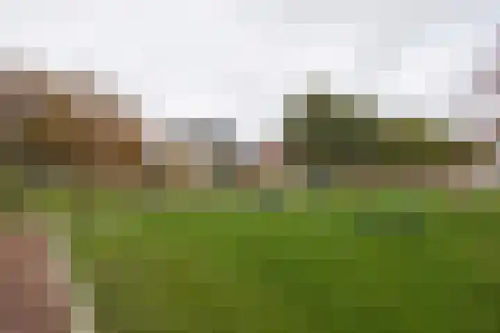 Kruidenlaan 23 Vroomshoop thumbnail 41