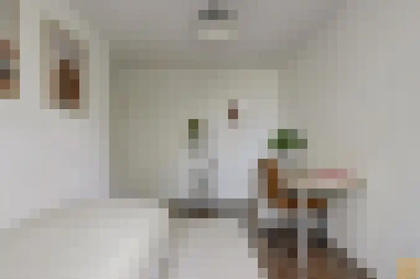 Kruidenlaan 23 Vroomshoop thumbnail 42