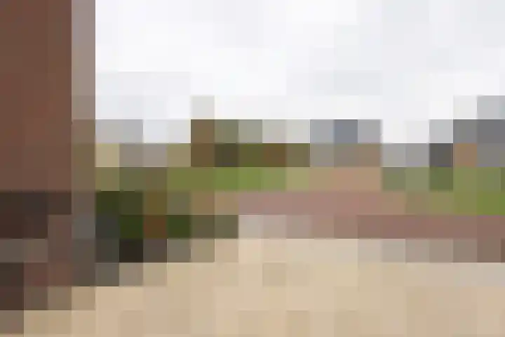 Kruidenlaan 23 Vroomshoop thumbnail 42
