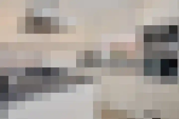 Kruidenlaan 23 Vroomshoop thumbnail 43
