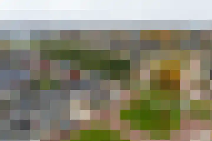 Kruidenlaan 23 Vroomshoop thumbnail 43