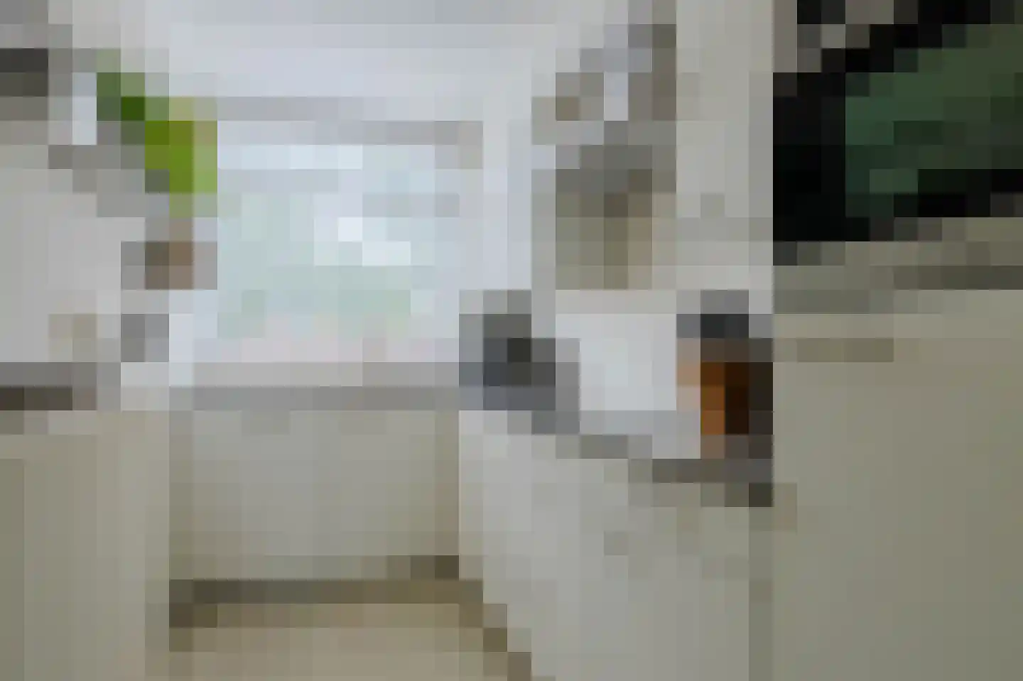 Kruidenlaan 230 Venray thumbnail 15