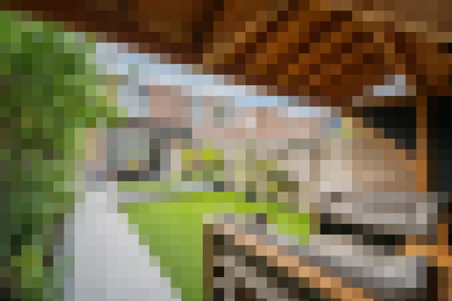 Kruidenlaan 230 Venray thumbnail 31
