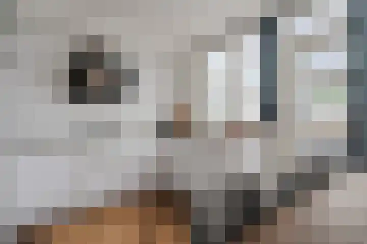 Kruidenlaan 24 Venray thumbnail 15