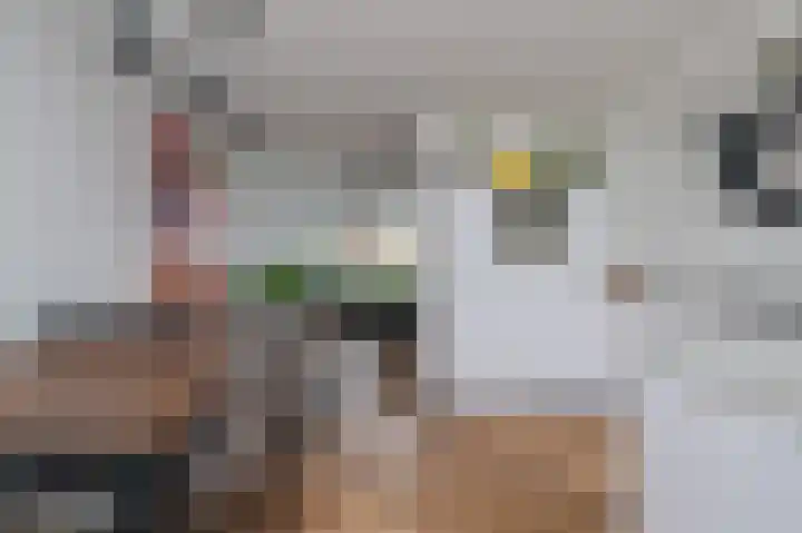 Kruidenlaan 24 Venray thumbnail 20