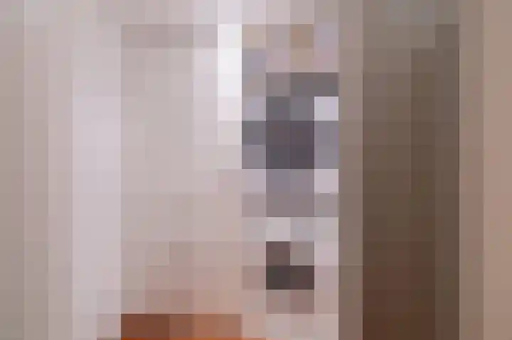 Kruidenlaan 24 Venray thumbnail 25