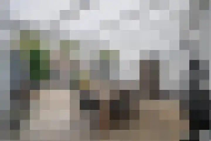 Kruidenlaan 24 Venray thumbnail 38