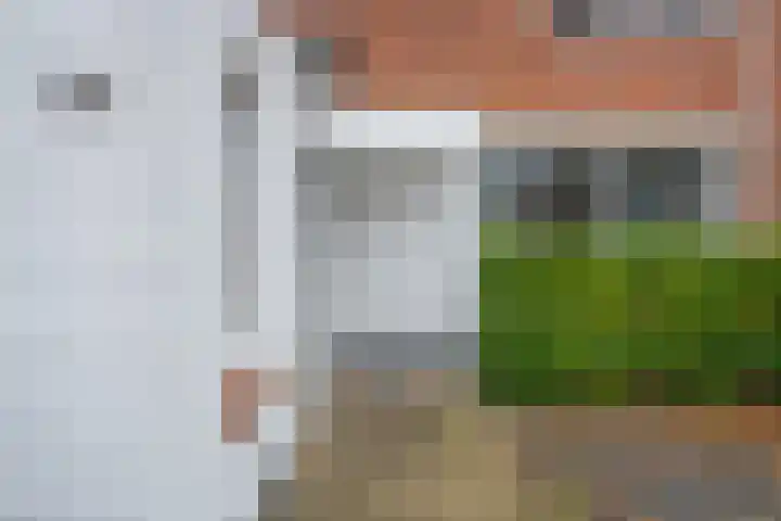 Kruidenlaan 24 Venray thumbnail 4