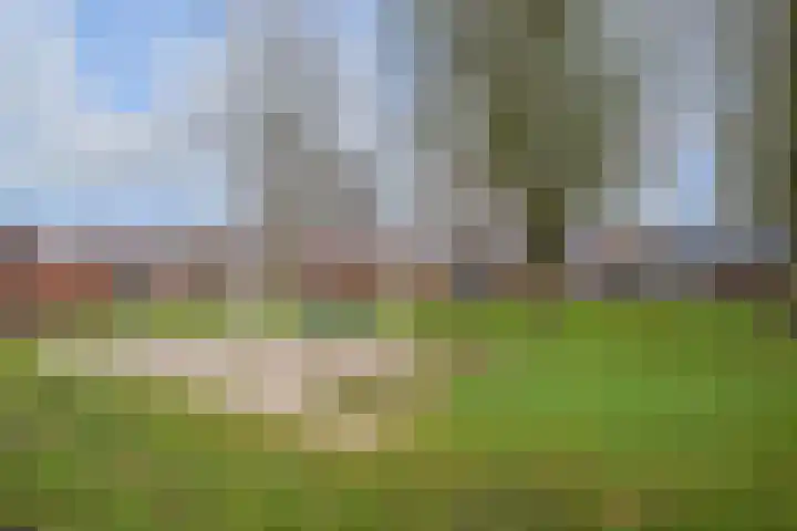 Kruidenlaan 24 Venray thumbnail 45
