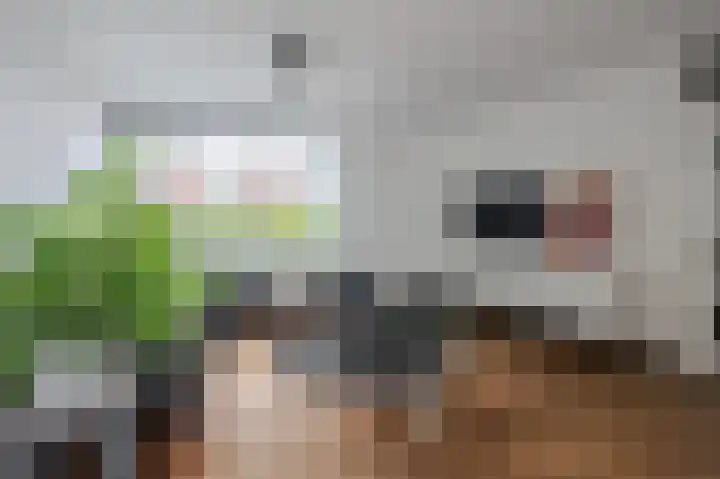 Kruidenlaan 24 Venray thumbnail 8
