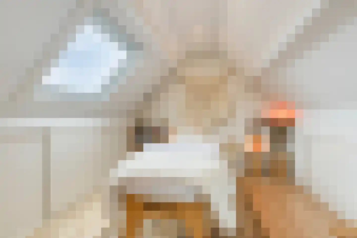 Kruidenlaan 25 Sint-Oedenrode thumbnail 11