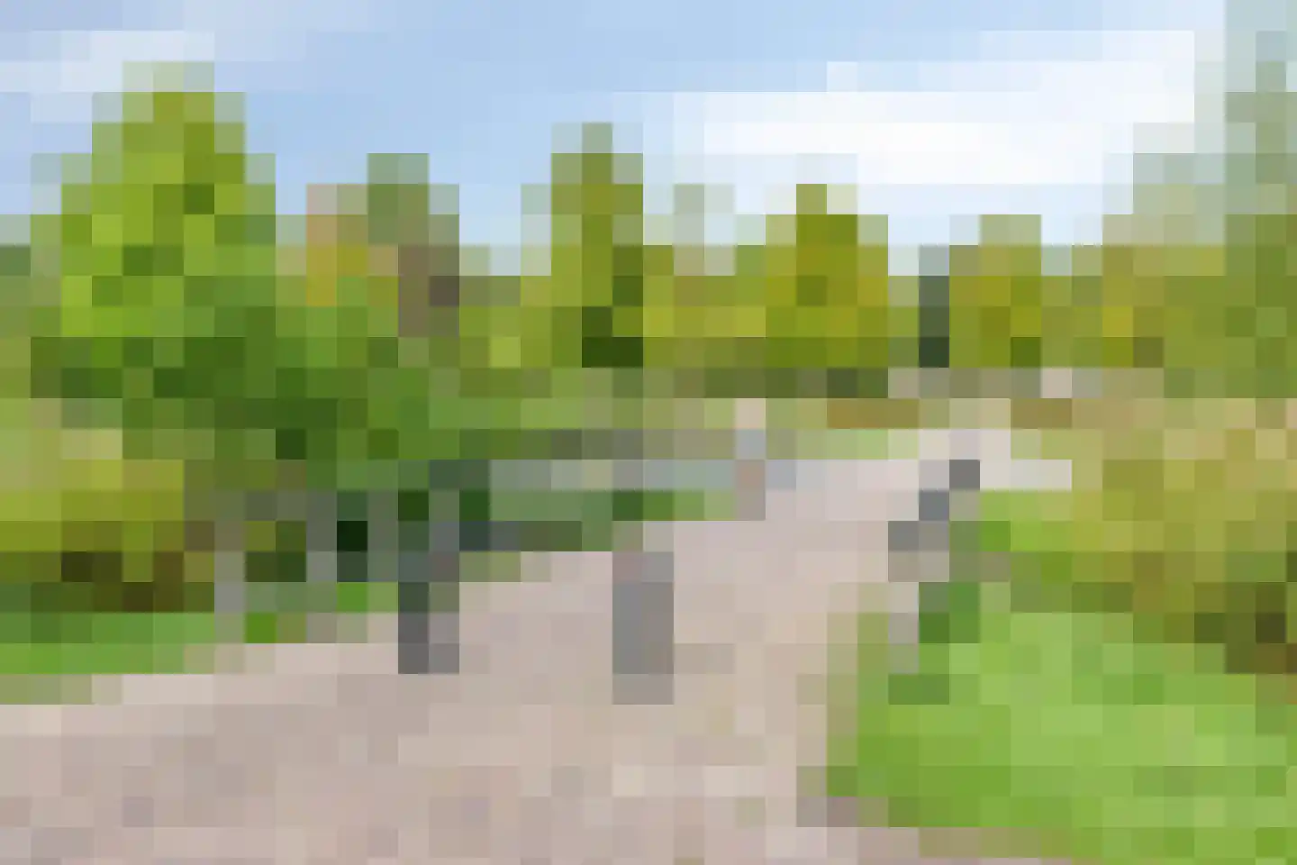 Kruidenlaan 25 Sint-Oedenrode thumbnail 55