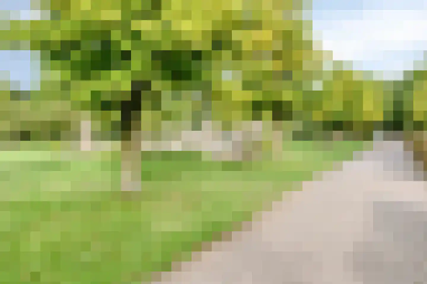 Kruidenlaan 25 Sint-Oedenrode thumbnail 57