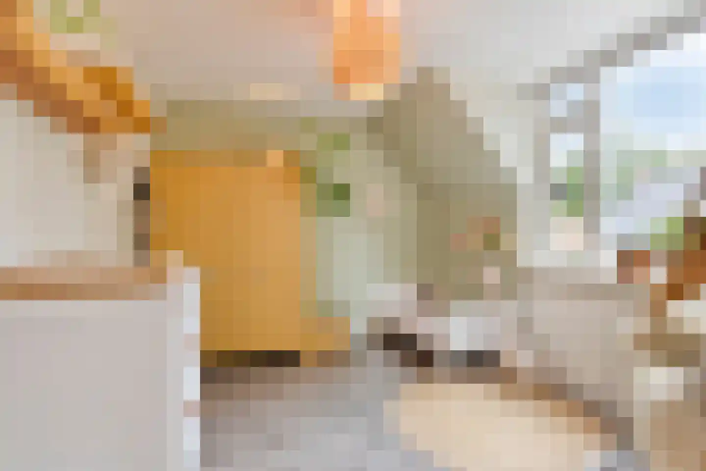Kruidenlaan 25 Sint-Oedenrode thumbnail 8