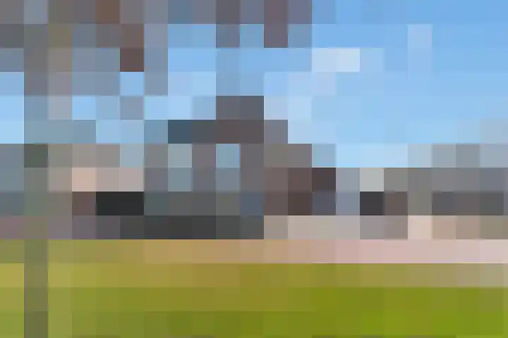 Kruidenlaan 25 Vroomshoop