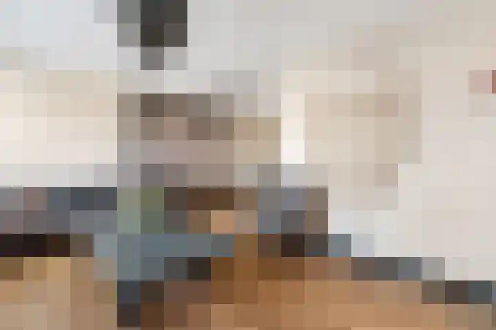 Kruidenlaan 25 Vroomshoop thumbnail 14