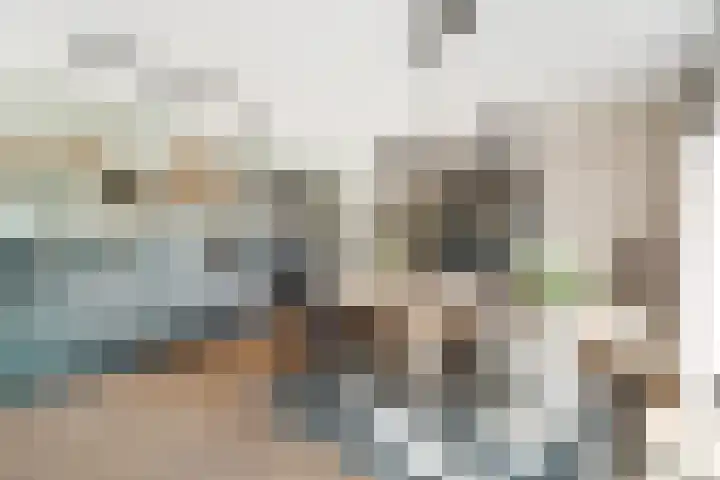 Kruidenlaan 25 Vroomshoop thumbnail 15
