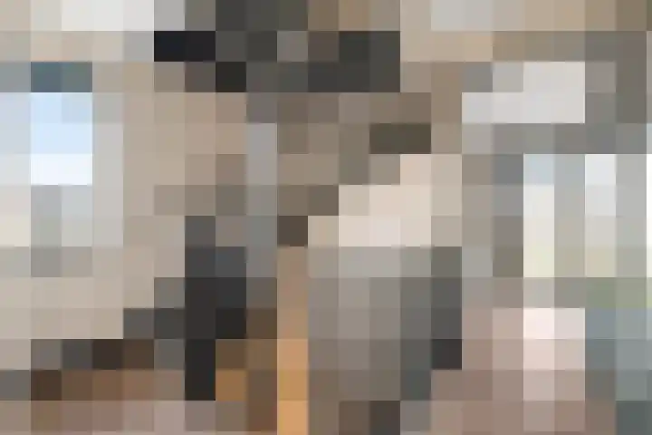 Kruidenlaan 25 Vroomshoop thumbnail 21