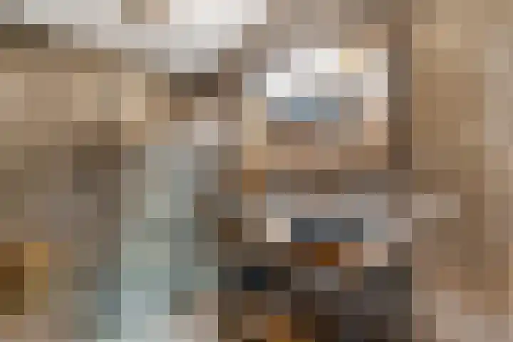 Kruidenlaan 25 Vroomshoop thumbnail 25