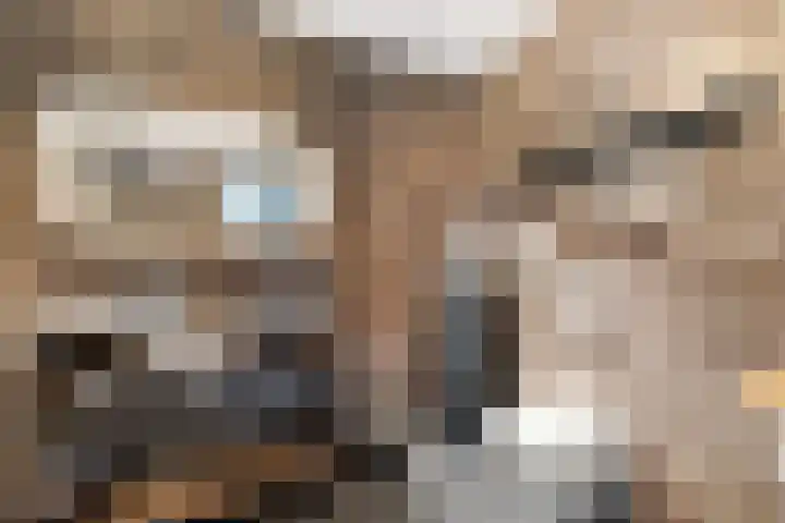 Kruidenlaan 25 Vroomshoop thumbnail 26